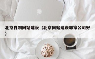 益阳北京自制网站建设（北京网站建设哪家公司好）