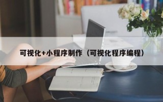 益阳可视化+小程序制作（可视化程序编程）